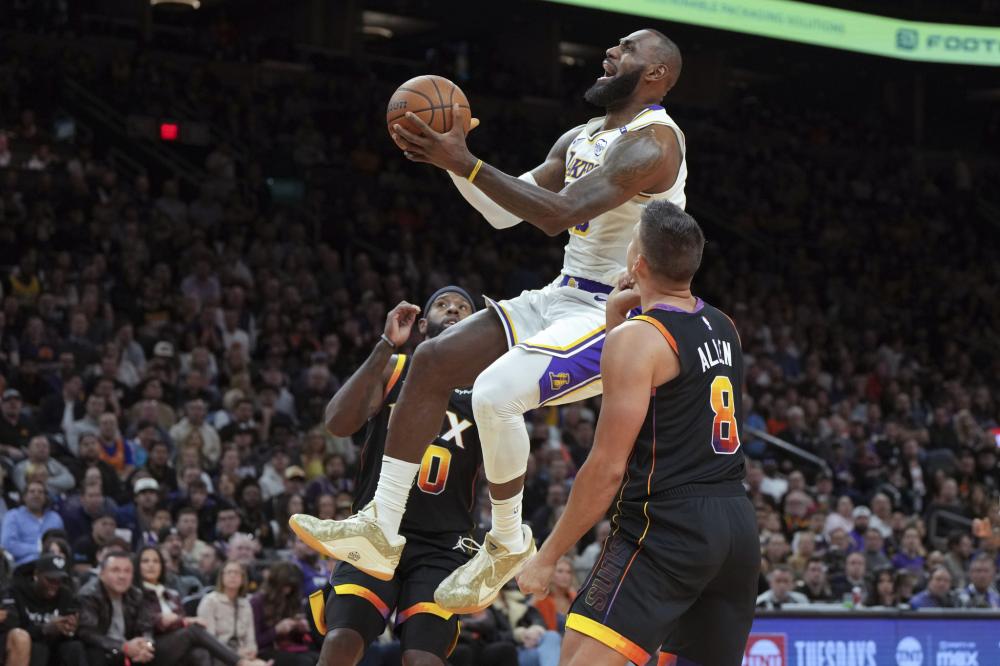 摘得冠军桂 摘得冠军桂